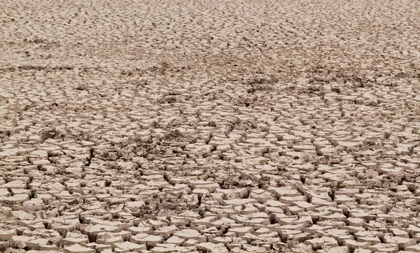 Dry soil — Stock Photo, Image