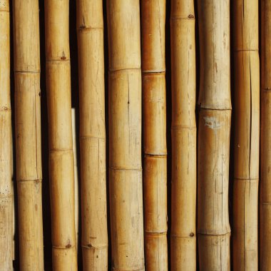 Bambu Arkaplanı