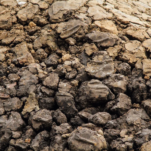 Dry soil texture — Stock Photo, Image