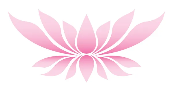 lotus çiçeği resmi