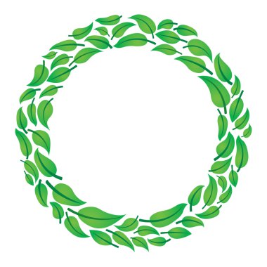 beyaz arkaplanda yeşil yapraklar