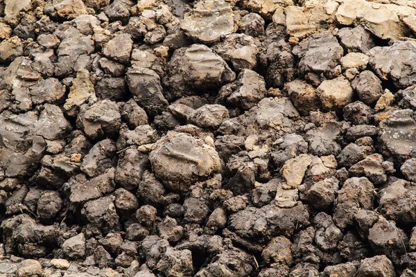 Textura del suelo seco — Foto de Stock