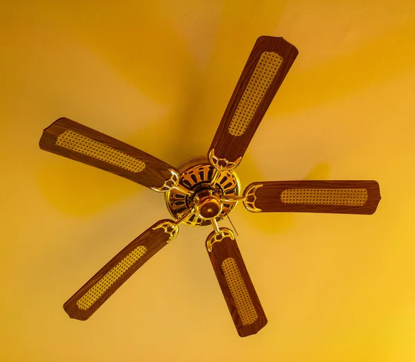 Стельовий вентилятор — стокове фото