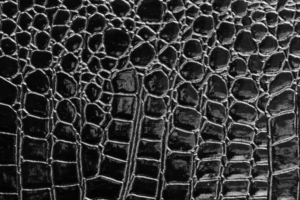 Crocodile leather — Stock Photo, Image