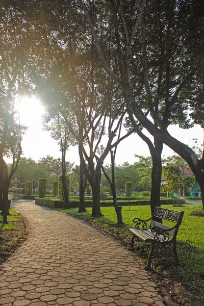 Caminho do jardim — Fotografia de Stock