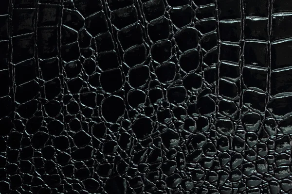 Crocodile leather — Stock Photo, Image