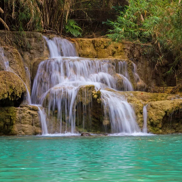 Kuang si vattenfall — Stockfoto