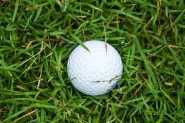 Yeşil çimlerin üzerinde golf topu