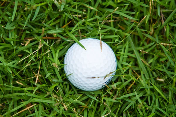 Golfový míček na trávě — Stock fotografie