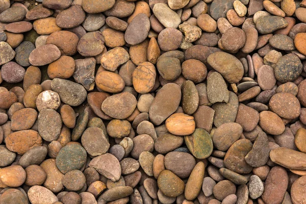Pedras de escamas redondas — Fotografia de Stock