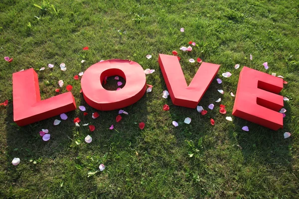 Mot d'amour de papier sur herbe Photos De Stock Libres De Droits