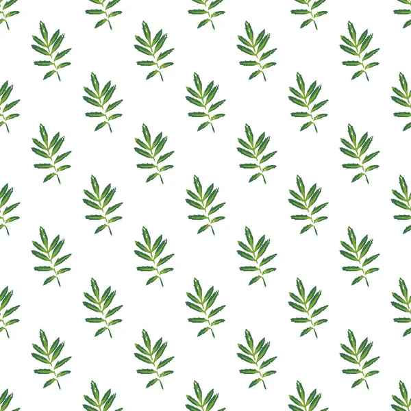 Green Marigold Leaves Seamless Pattern Spring Foliage Repeating Texture Handcrafted — Stock Vector