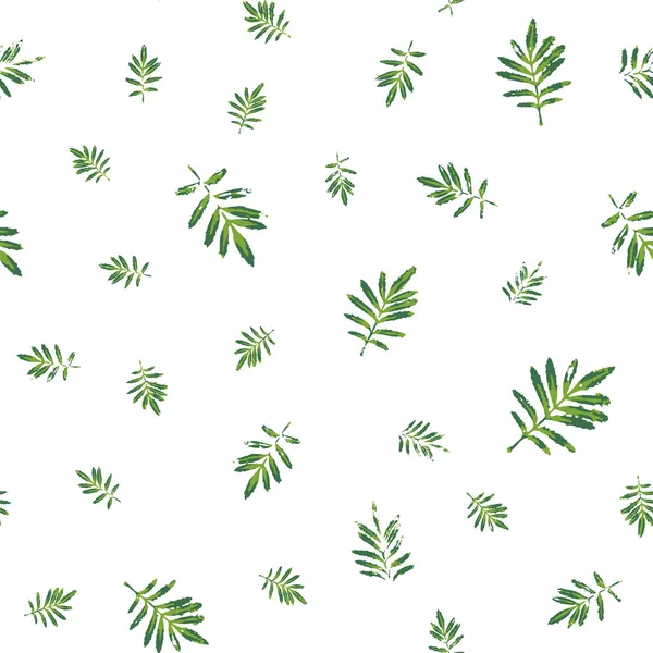 绿色的玛丽戈德留下无缝图案 春叶重复质感 手工制作的自然植物装饰面料设计 包装纸等 Eps8矢量说明 — 图库矢量图片