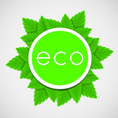 yeşil yaprakları kabarcık