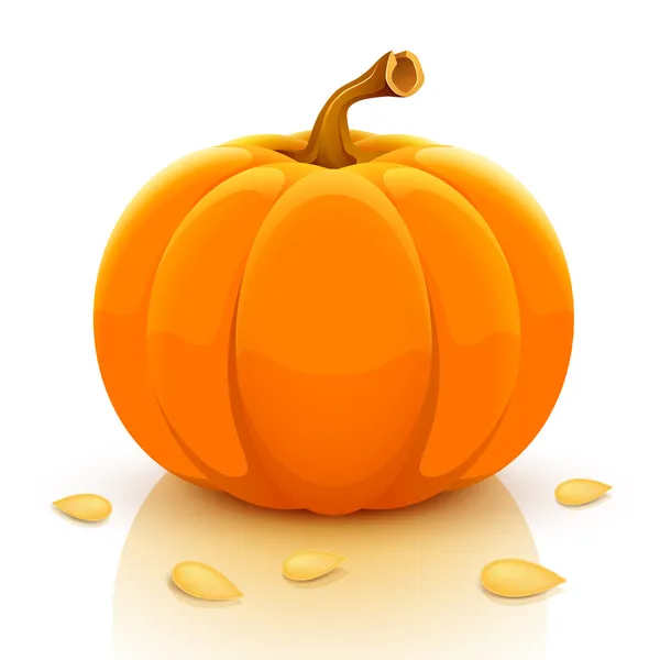 Calabaza — Vector de stock