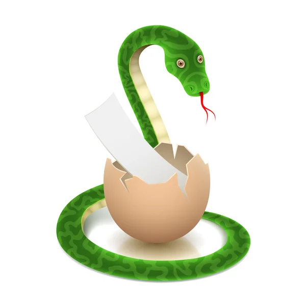 Πράσινο φίδι με λευκό κομμάτι χαρτί μέσα στο αυγό. — Διανυσματικό Αρχείο
