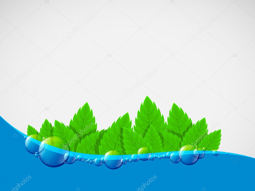 Water background with green leaves