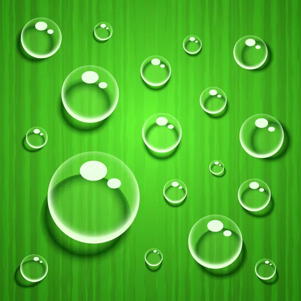 yeşil yaprak dokusu üzerinde su damlaları