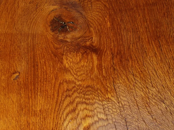 Closeup of an old plank of oak — Stock Photo, Image