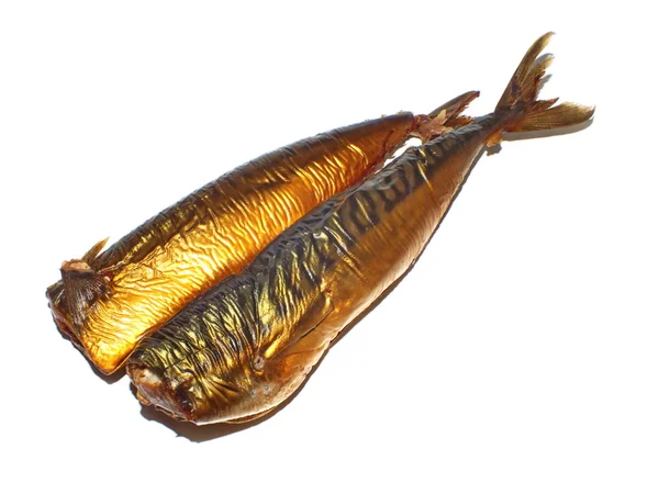 Two smoked mackerel on a white background — Stock Photo, Image