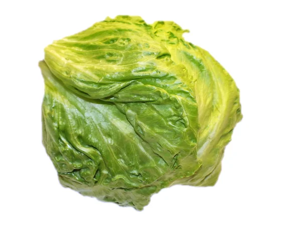 Studio shot of a whole iceberg lettuce on white background. — Stock Photo, Image