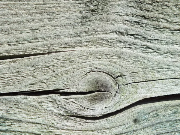 Old wood in close up as background — Stock Photo, Image