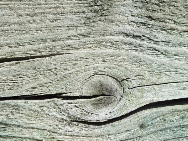 Madeira velha em close-up como fundo — Fotografia de Stock