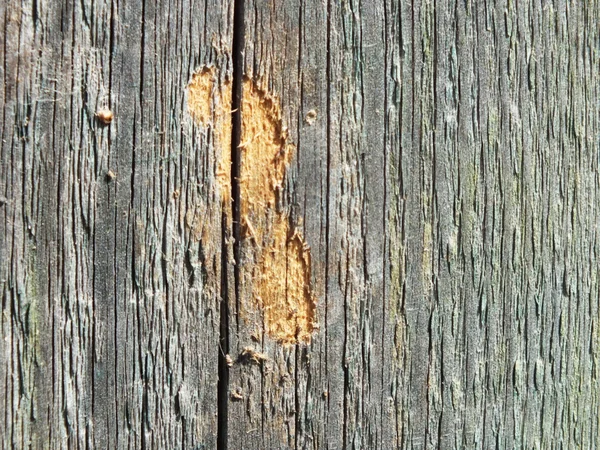 Altes Holz in Nahaufnahme als Hintergrund — Stockfoto