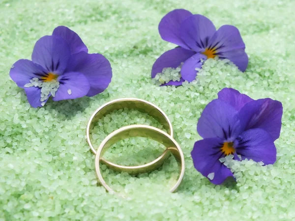 Wedding rings in small stones — Stock Photo, Image