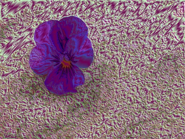 Одноцветковый абстрактный в мелких камнях — стоковое фото