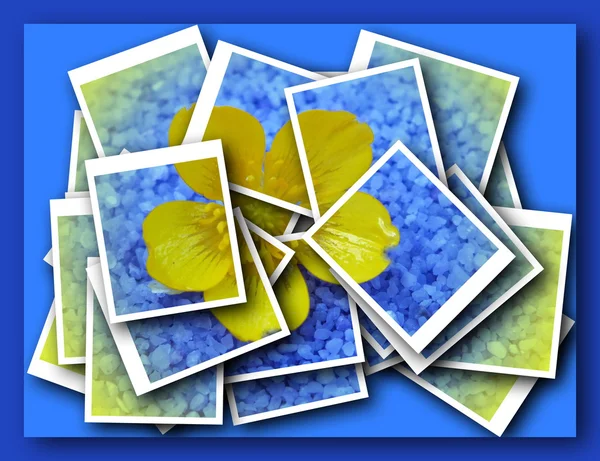 Barevné jediného květu, moderní, abstraktní uprostřed scény — Stock fotografie