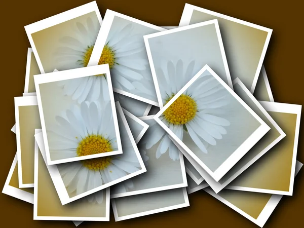 Barevné jediného květu, moderní, abstraktní uprostřed scény — Stock fotografie