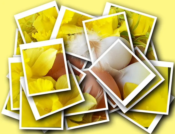 Ostereier an das Huhn mit Blumen — Stockfoto