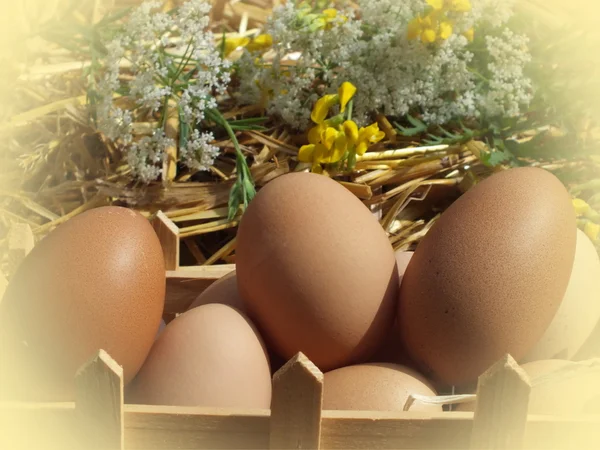 Easter eggs to the chicken with flowers — Stock Photo, Image