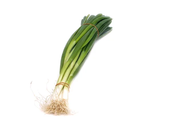 Grüne Zwiebel auf weißem Hintergrund — Stockfoto