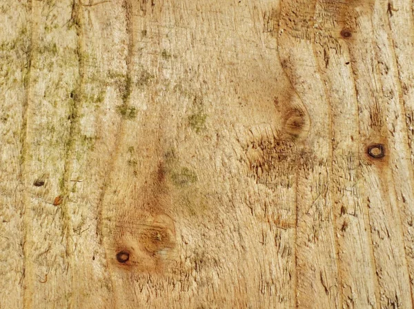 Vackra gamla trä som bakgrund — Stockfoto
