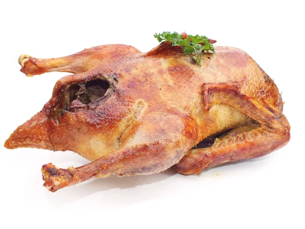 Bruin krokant gebakken eend of gebraden gans Kerstmis, — Stockfoto