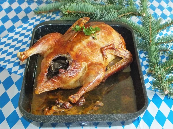 Brown crispy fried duck or roast goose christmas, — Stock Photo, Image