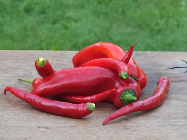 Červená chilli paprika — Stock fotografie