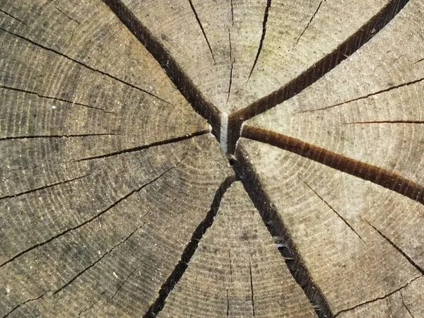 Podpisany przez pogodę jako stare tło drewna — Zdjęcie stockowe