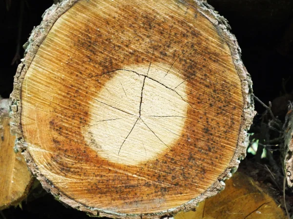 Signerad av vädret som gammal trä bakgrund — Stockfoto