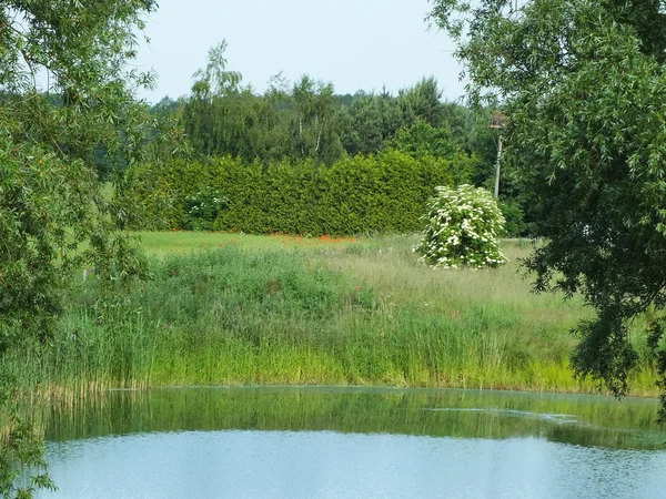 Iaz natural mic în Mecklenburg-Pomerania de Vest, Germania — Fotografie, imagine de stoc