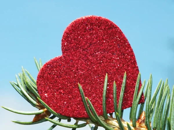 Grote glanzend rood hart — Stockfoto