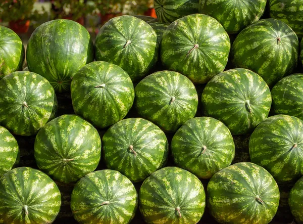 Sandías Verdes Frescas Apiladas Una Encima Otra —  Fotos de Stock