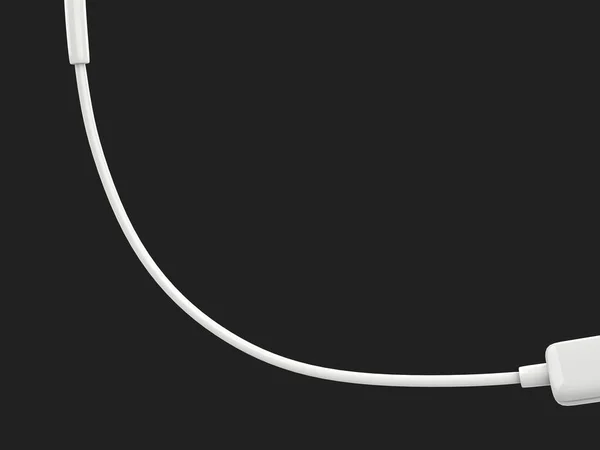 Egyszerű Fehér Kábel Két Különböző Csatlakozóval Mindkét Végén — Stock Fotó