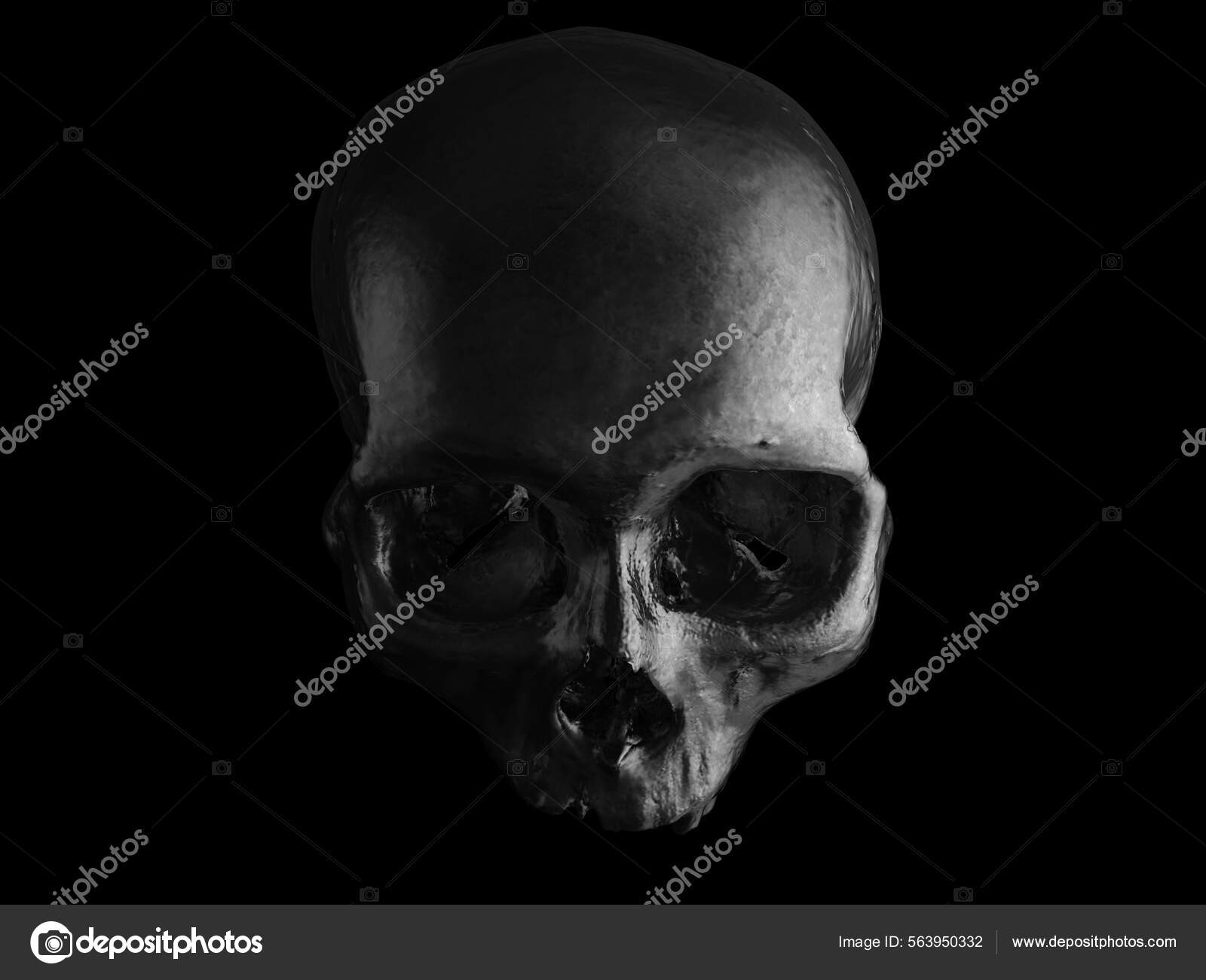 Crânio Negro Escuro Sem Mandíbula Inferior — Foto © Trimitrius #563950332, image size:1600x1301