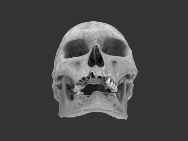 Old Skull Broken Teeth Low Angle Front View Illustration — Zdjęcie stockowe