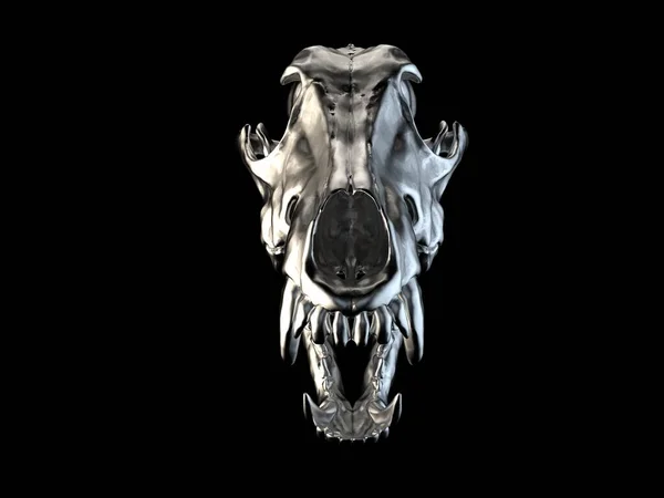 Crâne Loup Métal Avec Mâchoires Ouvertes Vue Face — Photo