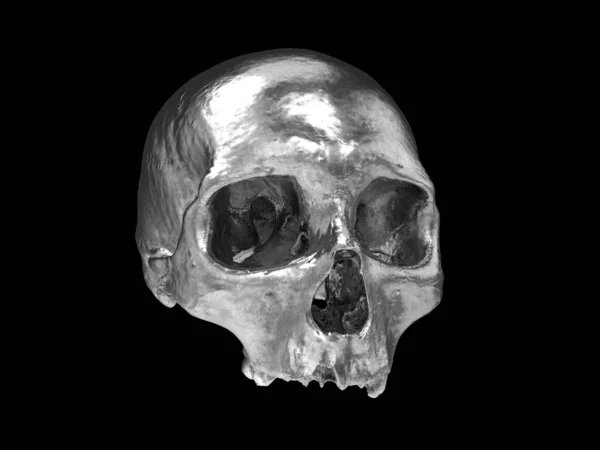 Brillante Cranio Cromato Irregolare Senza Mascella Inferiore — Foto Stock