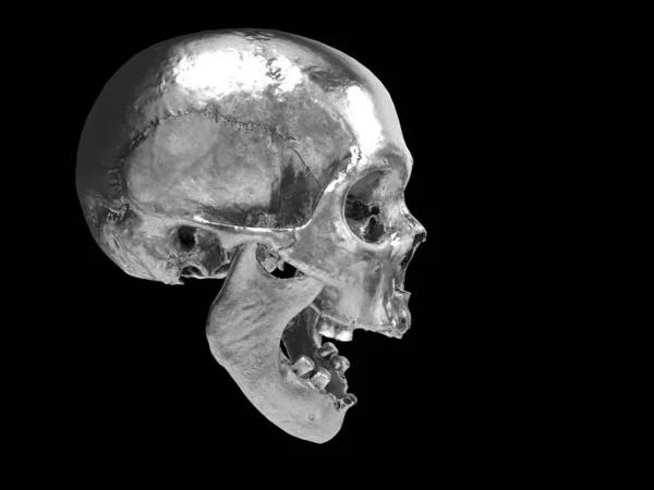 Grito Cráneo Cromo Con Dientes Faltantes Vista Lateral — Foto de Stock